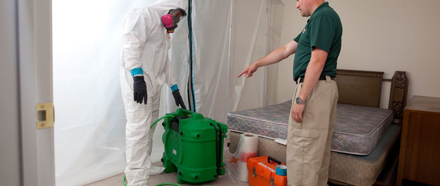 Kitchener, ON mold removal process