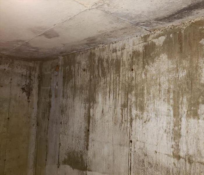 Mould removed from concrete wall