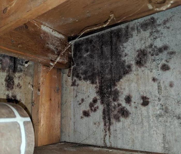 Mould damage